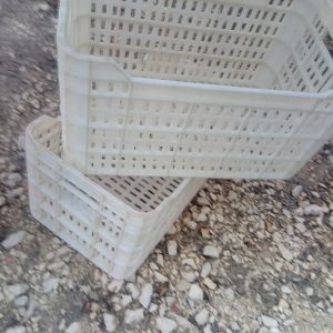 Caixas plásticas para frutas