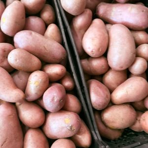 batata roxa