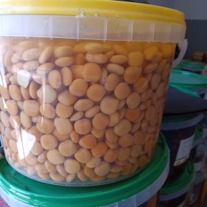 TREMOÇOS